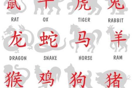 88年属相的人命运解析：揭秘你的未来之路与命格特征！
