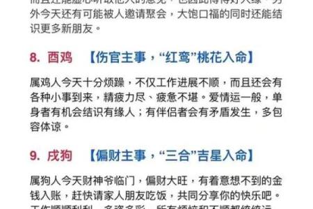 丙戌年生人：火犬命的个性与成就探秘