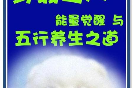 探秘“3”字之五行与命运，揭示个体潜能与人生路径