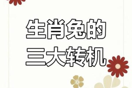 1949年属兔者的命运与性格分析，助你更好走过人生旅程！