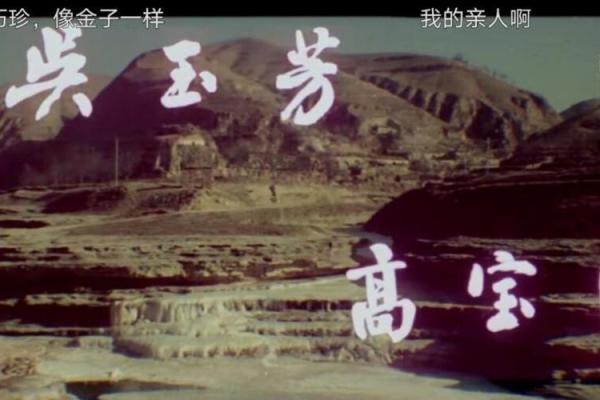 探秘桃花之命：爱情与命运的奇妙交织