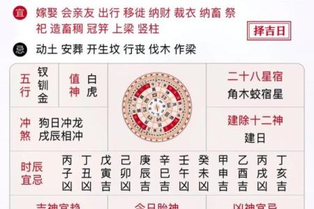 探秘2019年11月出生的孩子命理与运势