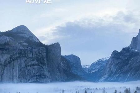 探寻飞凤之命的奥秘：从风水角度看人生旅程