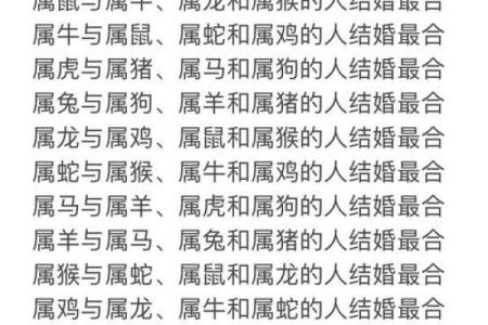 1959属猪女性的命运解析：智慧与幸福的完美结合