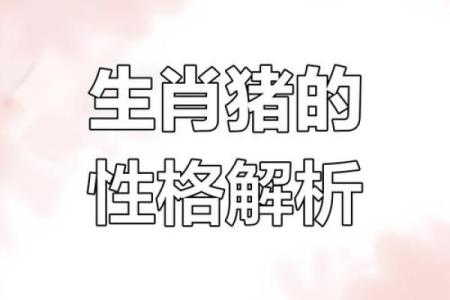 猪年出生宝宝的命运解析，探秘他们的性格与未来