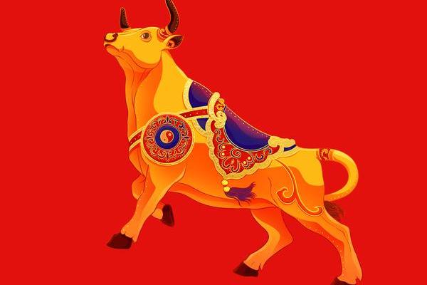 32岁属什么生肖？揭开命运与生肖间的秘密！