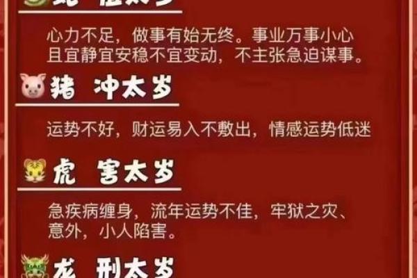 狗年生人51岁属于什么命？探索生肖与命理的奥秘！
