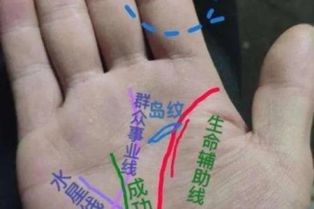 探秘手纹：断掌女子的命运与性格特征