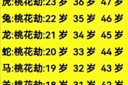 32岁属什么生肖？揭开命运与生肖间的秘密！