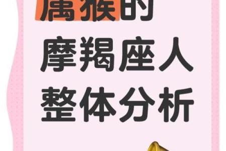 农历2004年属猴：聪明机智，活力四射的命运探秘