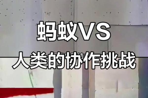 蚂蚁之命：探寻神秘的生物智慧与人与自然的关系