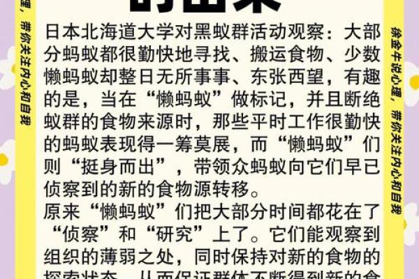 蚂蚁之命：探寻神秘的生物智慧与人与自然的关系