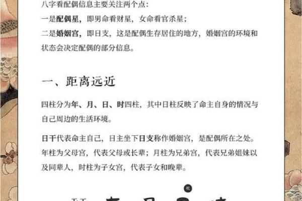 探寻己巳年11月命理深意，揭示生命中的秘密与机遇