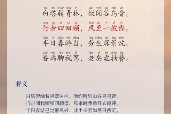 探寻出家命：为何有人选择超脱尘世的生活