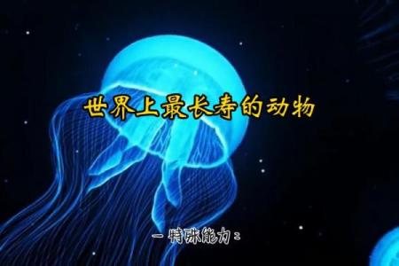 地球上最长寿的动物：揭开海洋深处与极地的神秘面纱
