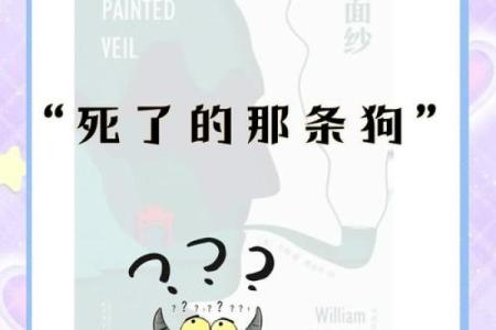 1996年出生的你是什么命？揭开命理的神秘面纱！