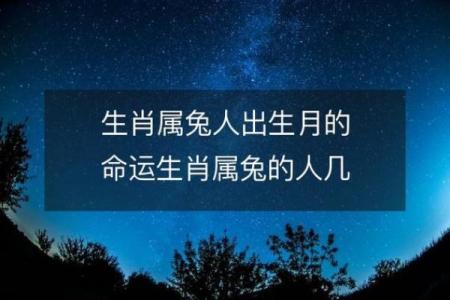 兔年是什么命人？解读兔年出生者的性格与命运意义