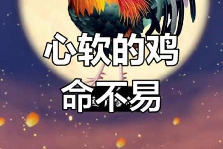 1981年属鸡的命运分析与生活智慧