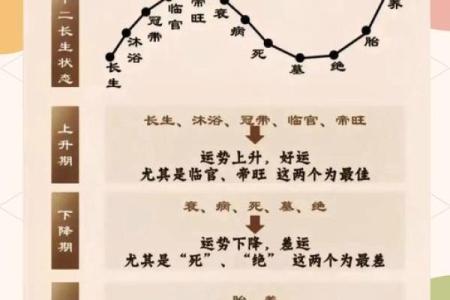 1996年出生者的命理解析：五行与命运的深刻关联