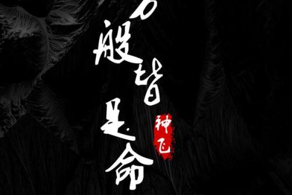 一世命即是万世命：浅谈命运的纠葛与选择
