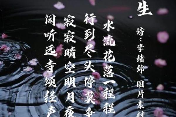 水命行大运：如何掌握人生的水流与力量