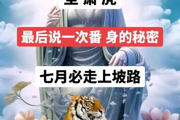 62虎命的幸运色与精神特质揭密
