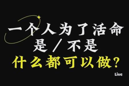 平地命与其他命相配的魅力与启示