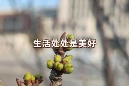 探索生活中的小确幸，让每一天都充满惊喜与快乐！