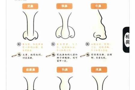 女人鼻子形状与命运：你是否知道这些？