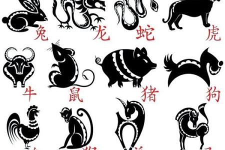 真命与属相：探索人生的命运和性格之道