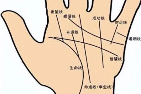 双手假断掌，命运暗示与人生解读