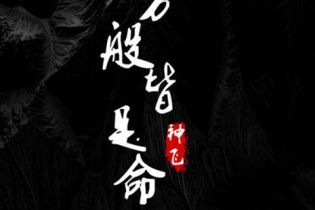 一世命即是万世命：浅谈命运的纠葛与选择