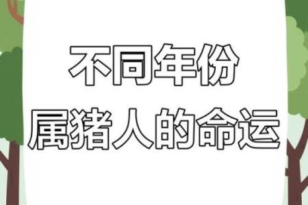 揭开1983年属猪人的命运秘密，探寻其人生的精彩与挑战！