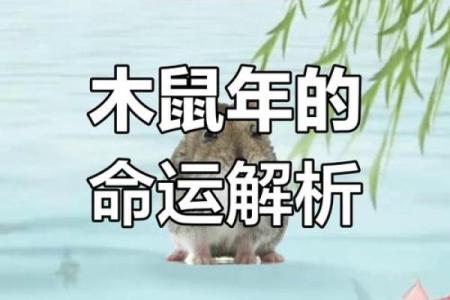 1960年老鼠年：灵巧与智慧的命运探寻