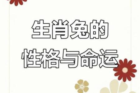 1949年属兔命运解析：了解你的命格与未来机会