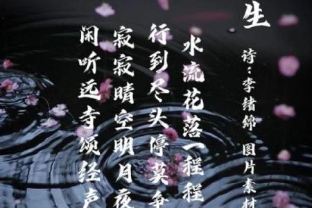 水命行大运：如何掌握人生的水流与力量