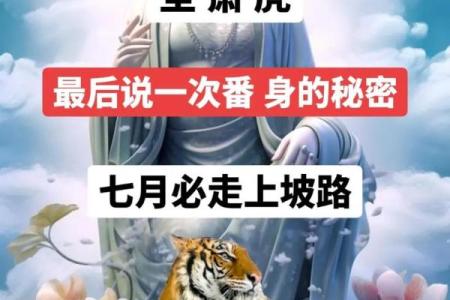 62虎命的幸运色与精神特质揭密