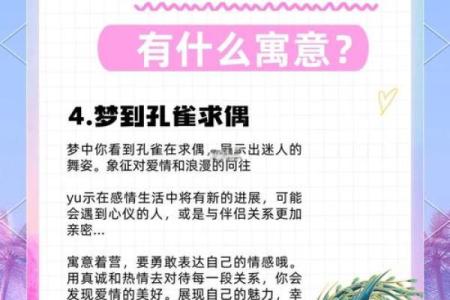 孔雀的命理：揭开它华丽外表下的秘密