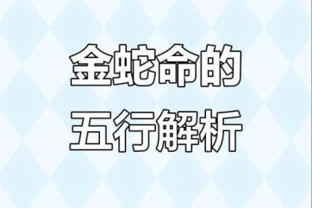 2001年金命解析：探索金命人的特质与人生轨迹
