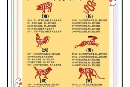 属什么生肖命有钱女，财富与运势的奇妙结合