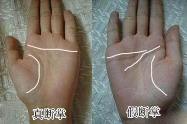 揭秘女断掌手纹，命运的秘密与人生指引