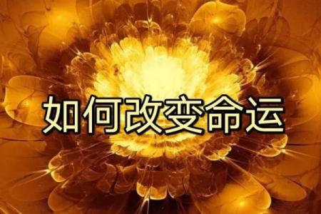 探寻富贵命的秘密：如何把握命运的钥匙