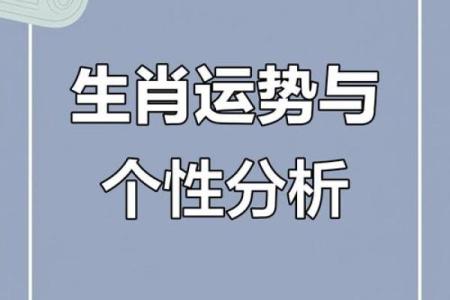 1978年出生的属相命运探秘：解析其性格与职业发展之路