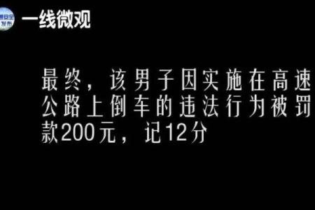 捡了一条命，见了一条命：生活的反思与感悟