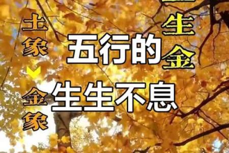 探秘生辰八字中的木命：从命理看生命的希望与成长