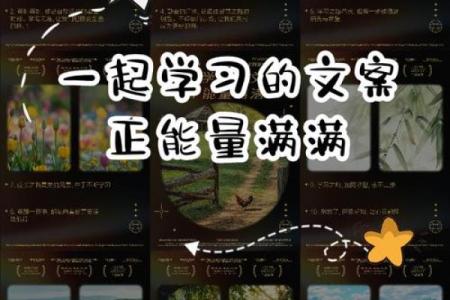 一九六五年出生的人命缺如何调和，立足未来的智慧之路