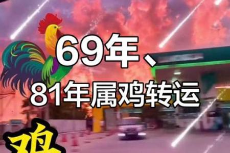 揭秘2007年鸡年命运：命理与运势的深度解析