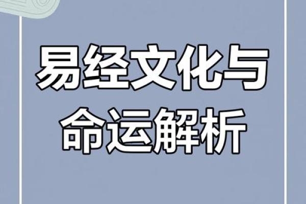 智慧命长久：探寻生肖中的智慧与命理关系
