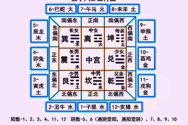 智慧命长久：探寻生肖中的智慧与命理关系