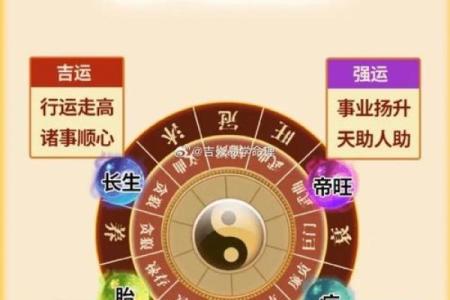 根据岁数算命：探秘不同年龄的命运之道